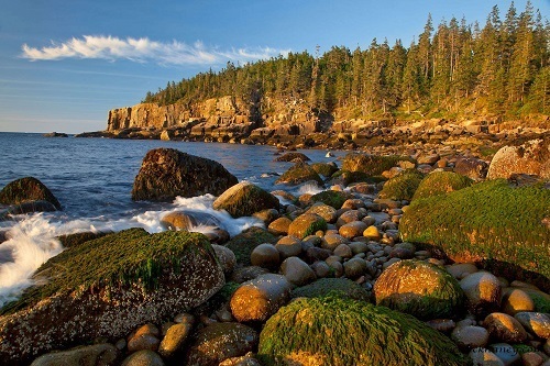 Rocks at Otter Cliffs in Acadia National Park
